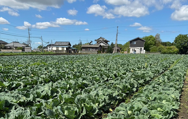 茨城の4月の様子
