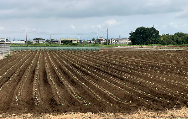 群馬の8月の様子