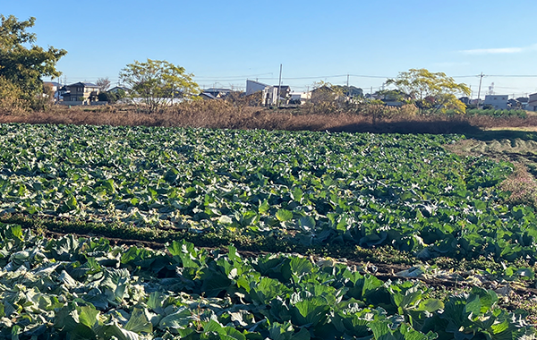 群馬の12月の様子