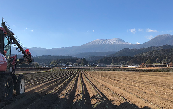 宮崎の12月の様子