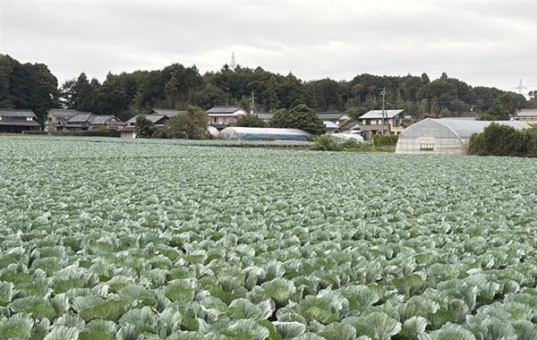茨城の10月の様子