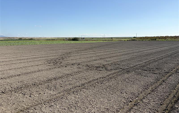 佐賀の10月の様子