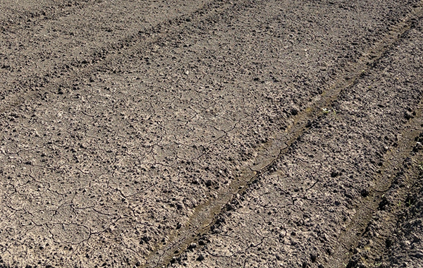 佐賀の10月の様子