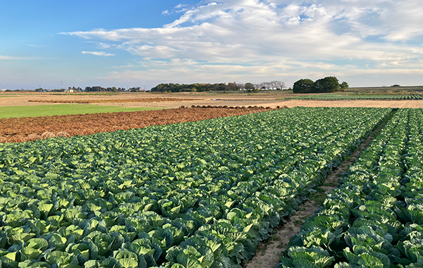 群馬の12月の様子
