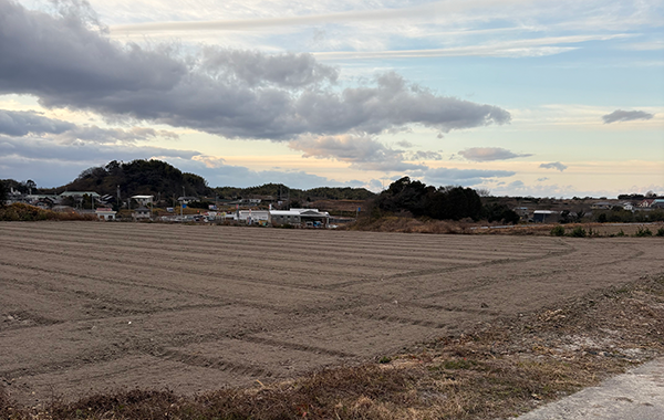 愛知の1月の様子