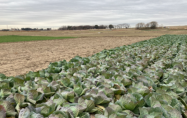群馬の1月の様子