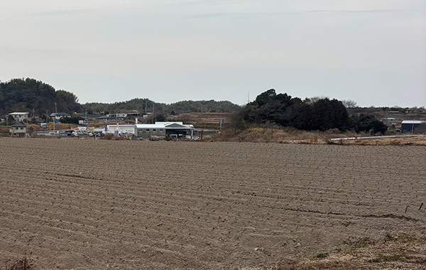 愛知の2月の様子