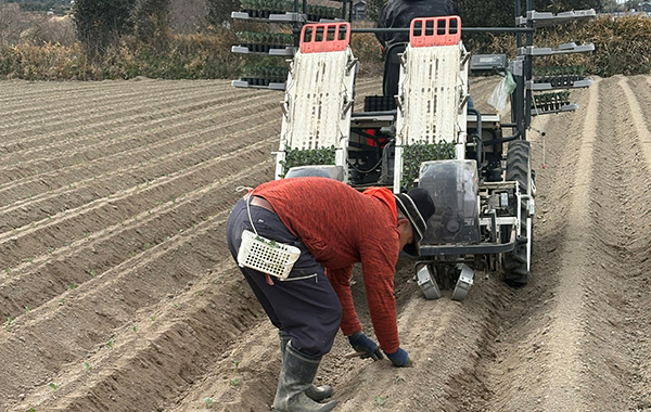 愛知の2月の様子