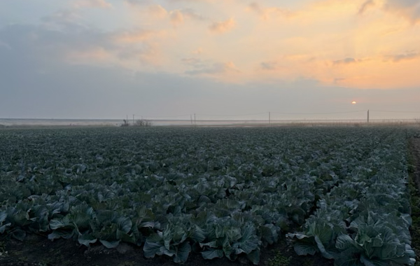 佐賀の2月の様子