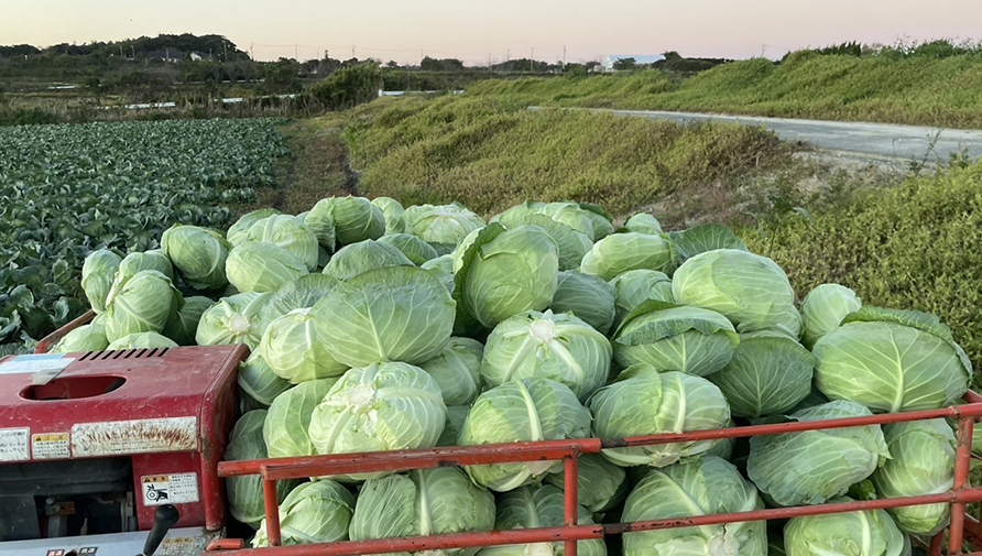 6月の愛知