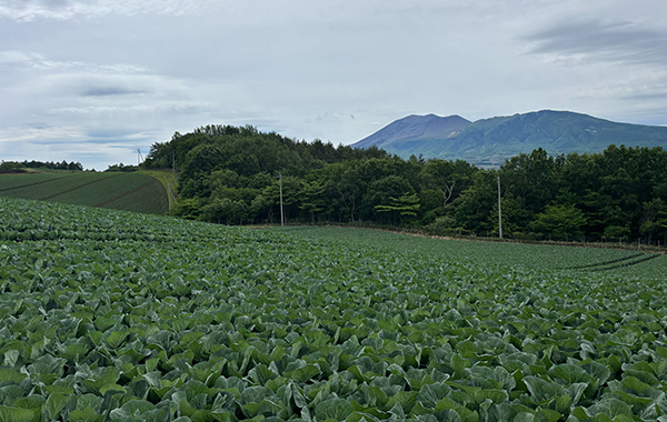 群馬の6月の様子