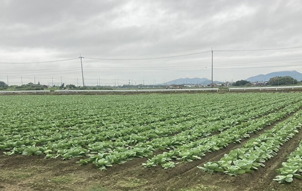 滋賀の9月の様子