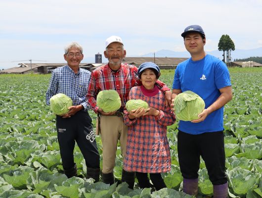 JAおおいた キャベツ出荷協議会