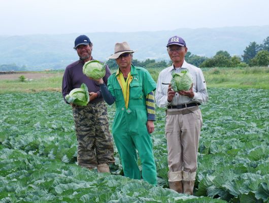 JA佐久浅間 三岡野菜部会