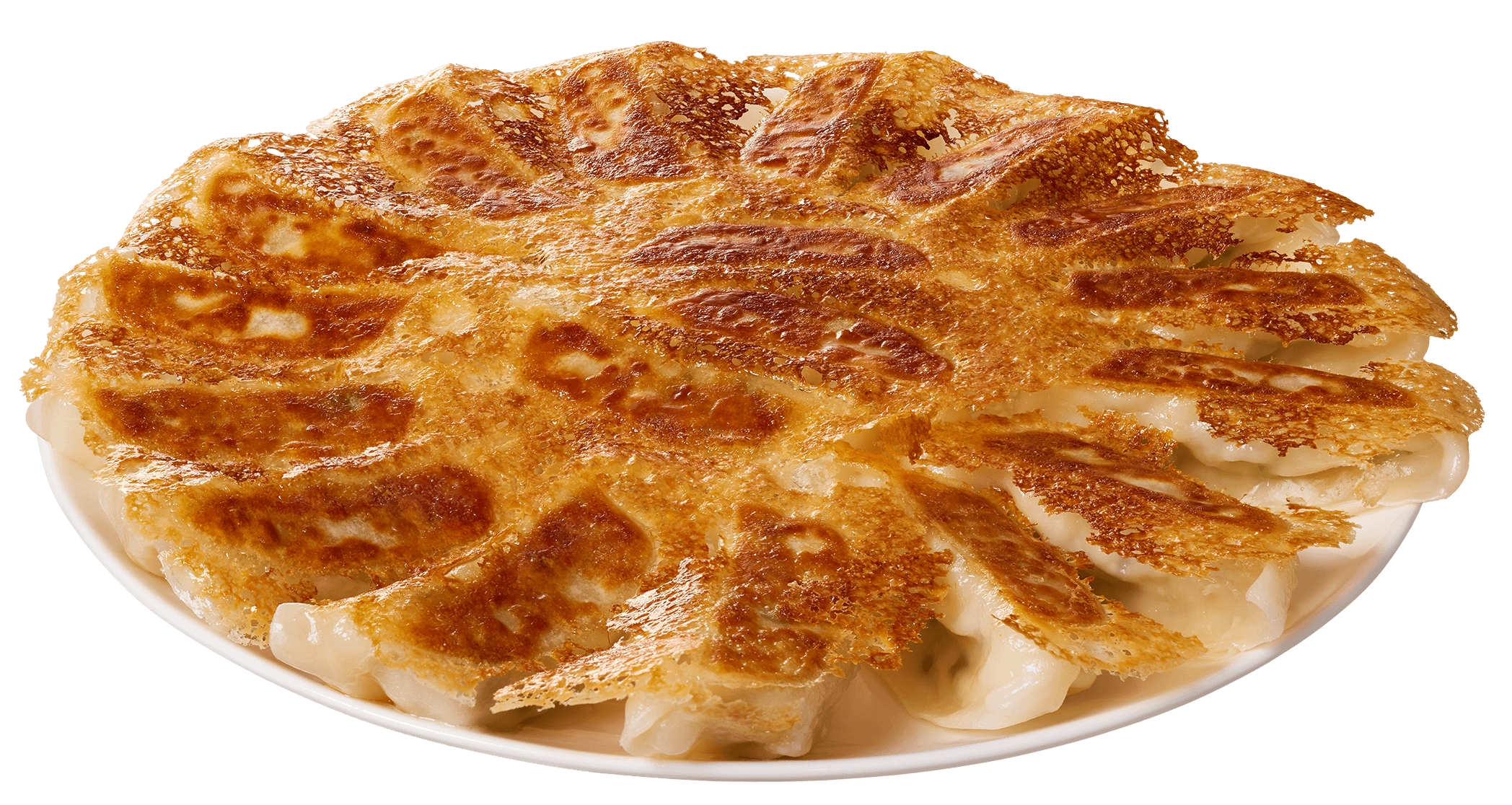 うちのギョーザは 日本一 味の素冷凍食品