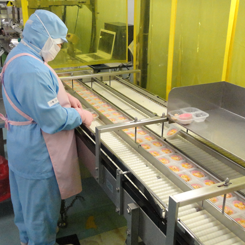 包装前に製品を人の目でチェックし、問題無いかを最終確認している様子