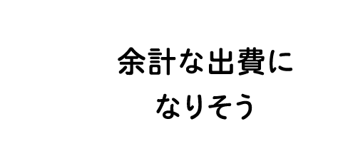 余計な出費になりそう