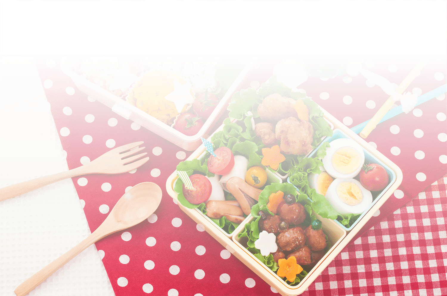 やわらか若鶏から揚げお弁当
