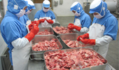 ▲ 解凍した肉を人の目で
チェック