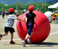 春の運動会 紅白お弁当レシピ