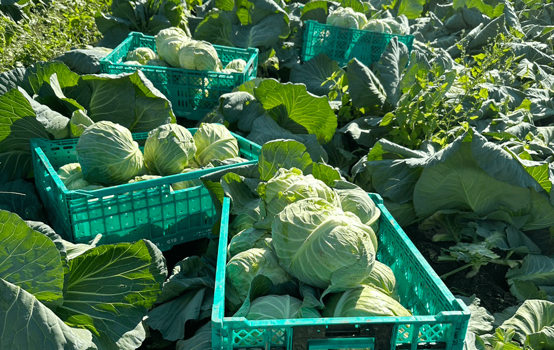 茨城の10月の様子