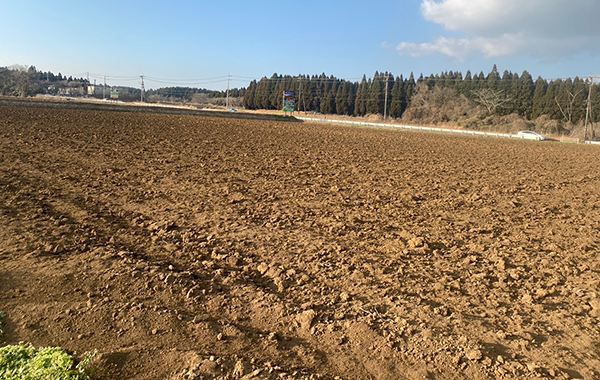 大分の12月の様子